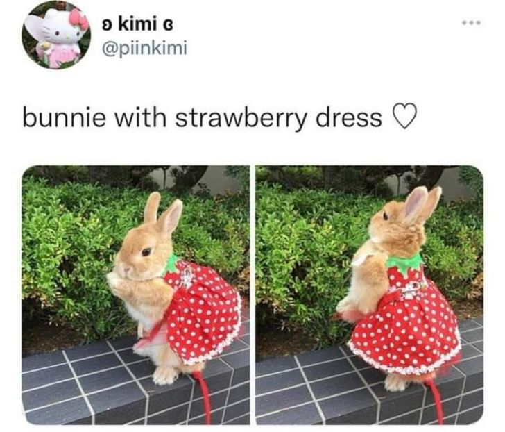  - am i too good to be gone