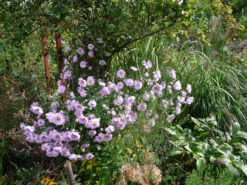  - 2021 - 03 - Toamna