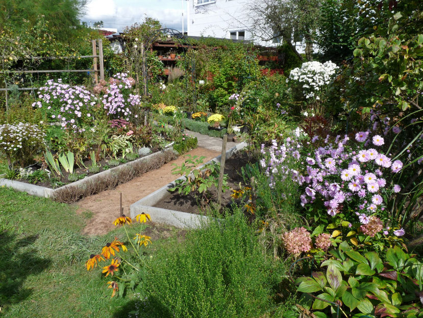  - 2021 - 03 - Toamna