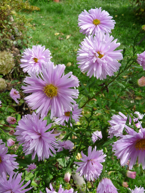  - 2021 - 03 - Toamna