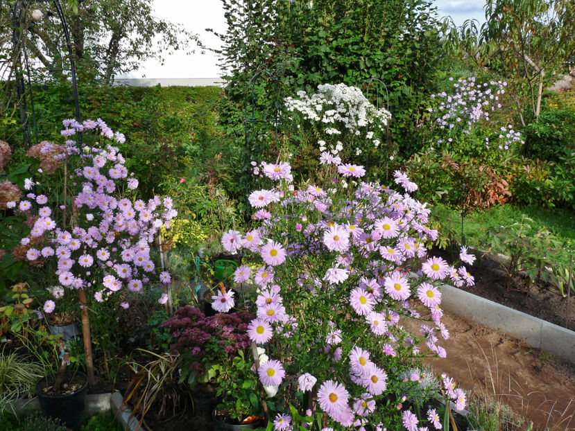  - 2021 - 03 - Toamna