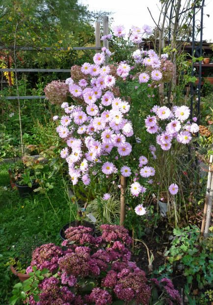  - 2021 - 03 - Toamna