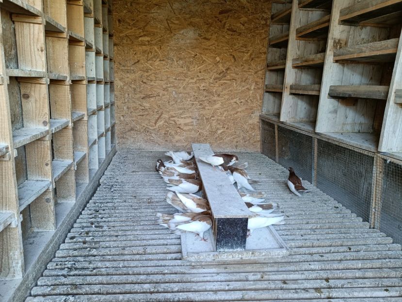 IMG20211001162932 - Pag de Iasi 2021