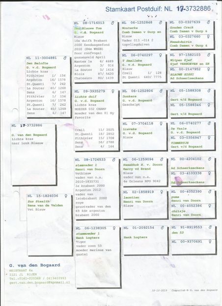 886pedi - Achizitii porumbei -2021