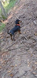 received_227697516075227 - cainii  mei