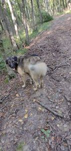 received_385492313123874 - cainii  mei