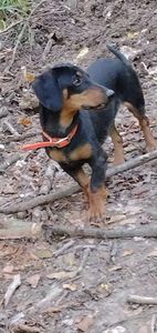 received_4244247849025220 - cainii  mei