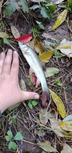 received_1074215146716328 - Pescuit 2021