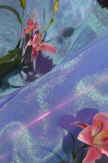  - Dreams N Arrows - Blog