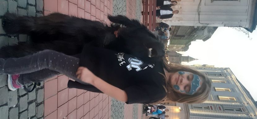 Ciobanesc de Brie Briard - BRIARD Ciobanesc de BRIE