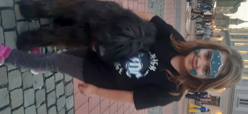 Ciobanesc de Brie Briard - BRIARD Ciobanesc de BRIE