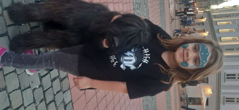 Ciobanesc de Brie Briard - BRIARD Ciobanesc de BRIE