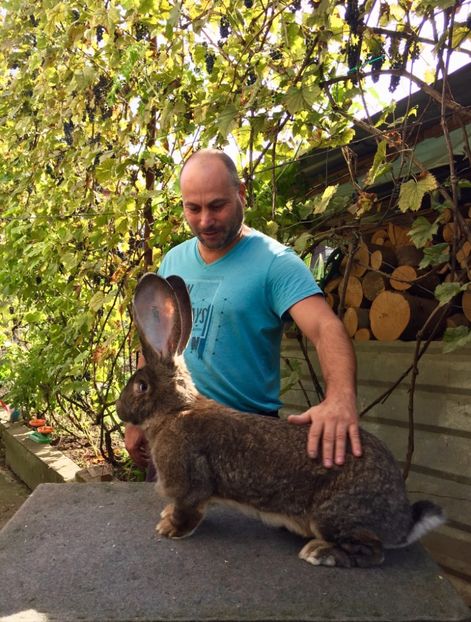 8AB7617A-6C48-44CE-B8A0-CB647B16DFCB - RO 8-3054