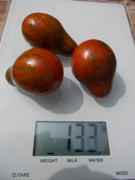  - SEMINTE ROSII - T 718 OFF KEYES