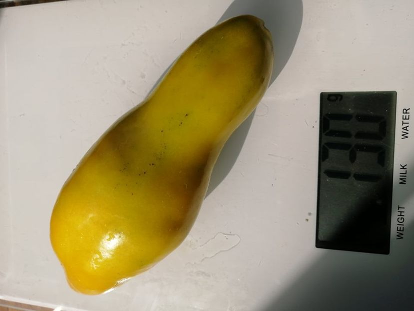  - SEMINTE ROSII - T 768 KAZAKHSTAN GRUNE FLACHE