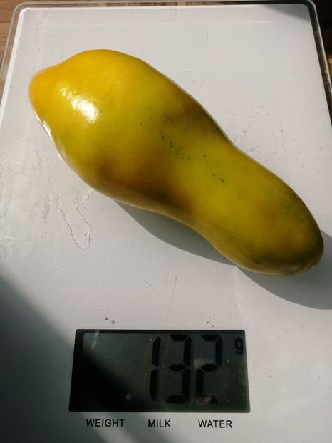  - SEMINTE ROSII - T 768 KAZAKHSTAN GRUNE FLACHE