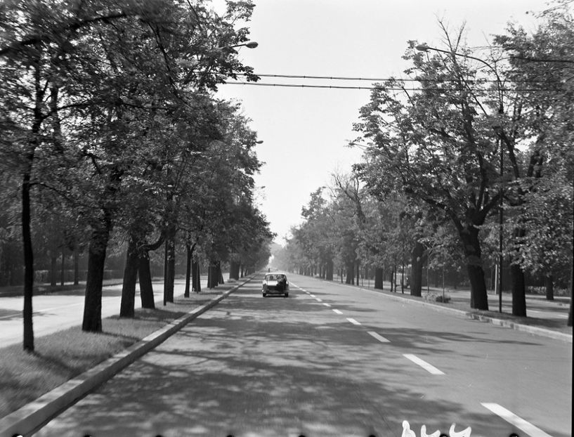 Un Film Cu O Fata Fermecatoare - Un Film Cu O Fata Fermecatoare 1966