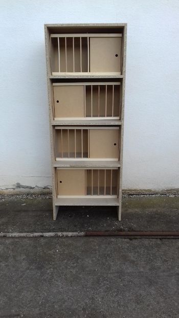  - RAFT NATURAL - 300 lei