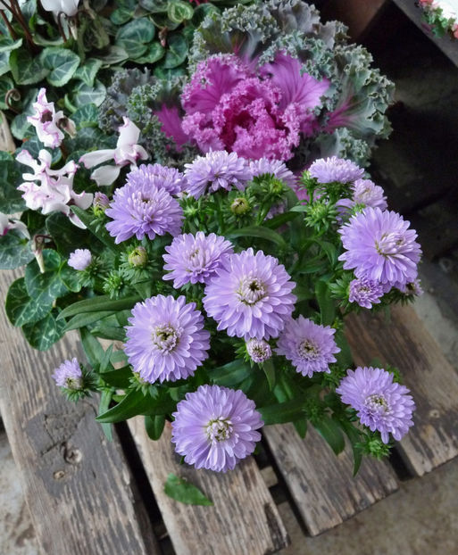  - 2021 - 03 - Toamna