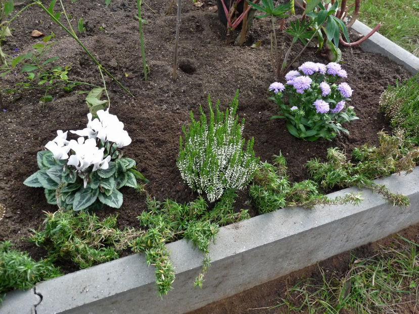  - 2021 - 03 - Toamna