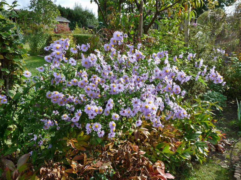  - 2021 - 03 - Toamna