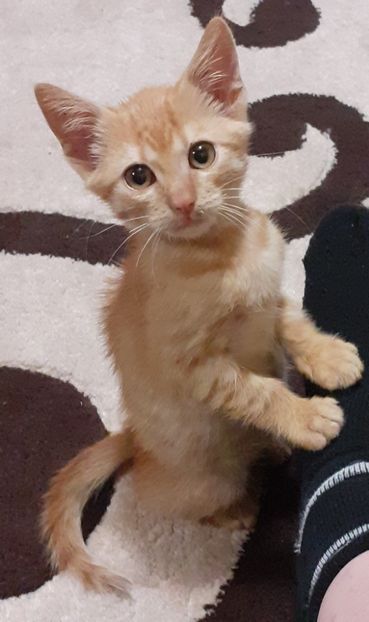 Tomiță,  azi  ❤❤❤ - OCTOMBRIE 2021