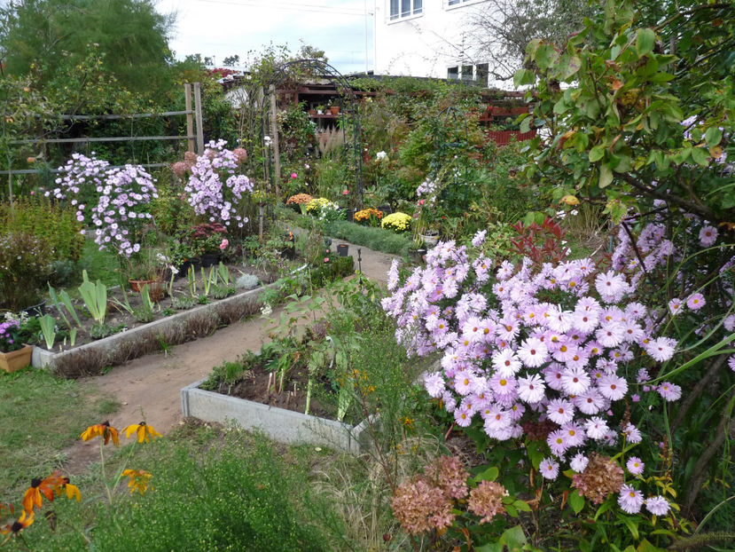  - 2021 - 03 - Toamna