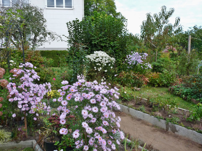  - 2021 - 03 - Toamna