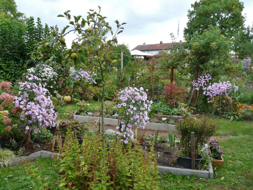  - 2021 - 03 - Toamna