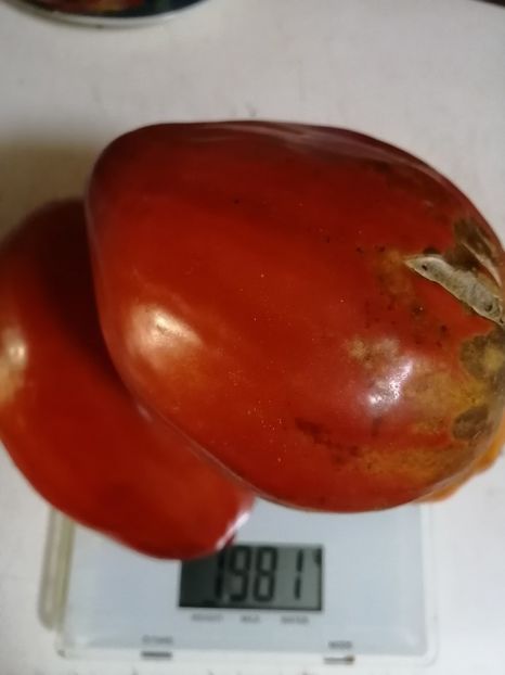  - SEMINTE ROSII - T 762 CUORE ANTICO DI ACQUI TERME