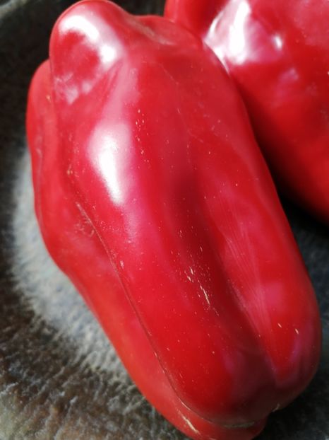  - SEMINTE ARDEI - A 38 PADISHAH PAPRIKA