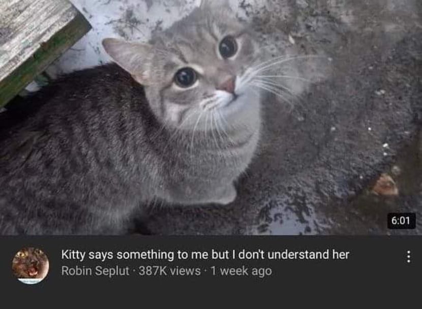  - am i too good to be gone