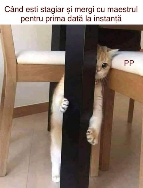  - am i too good to be gone