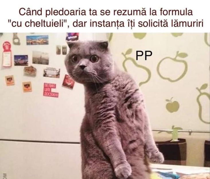  - am i too good to be gone