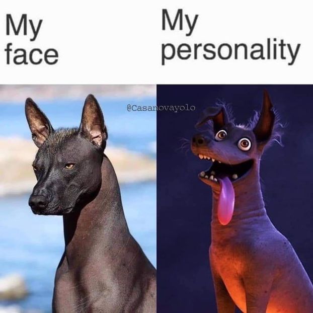  - am i too good to be gone