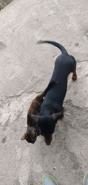 USER_SCOPED_TEMP_DATA_photo1633953196972_6853296429872544734 - cainii  mei