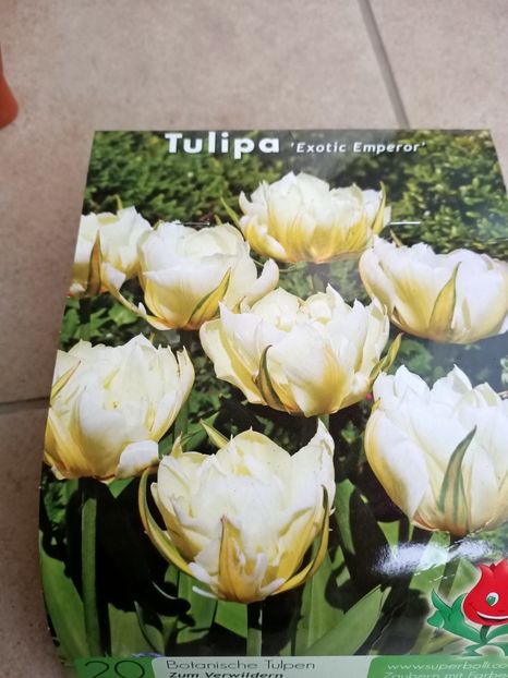  - 1 Achiziție nouă