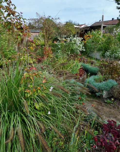  - 2021 - 03 - Toamna