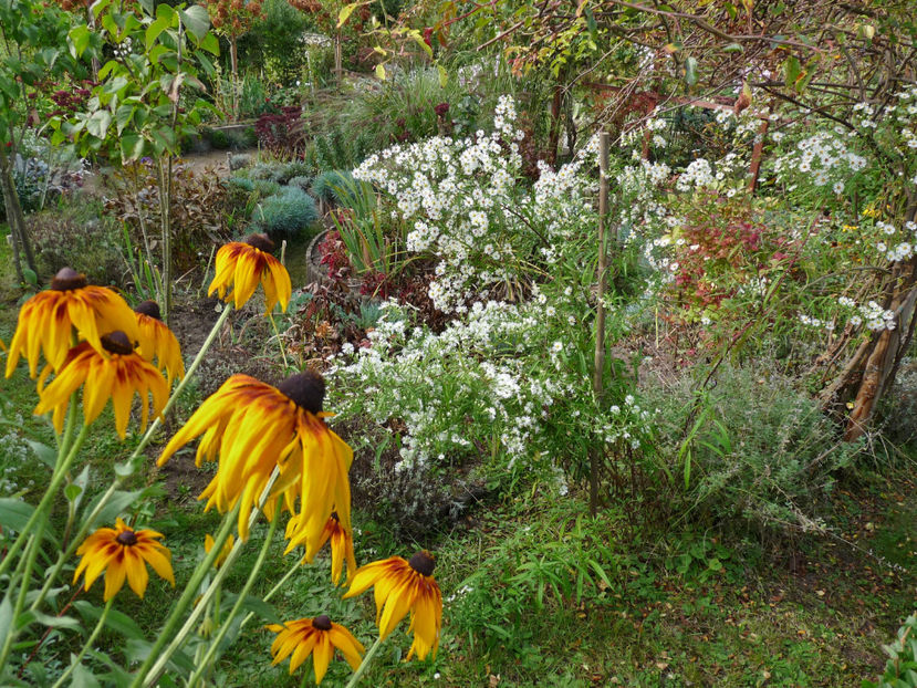  - 2021 - 03 - Toamna