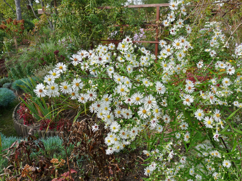  - 2021 - 03 - Toamna