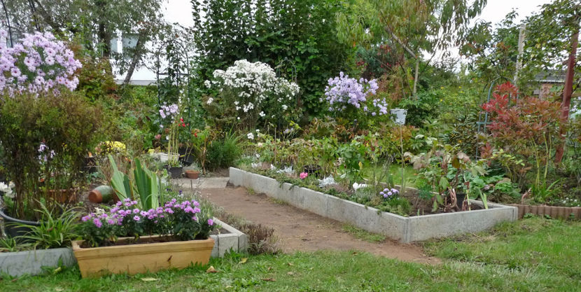  - 2021 - 03 - Toamna