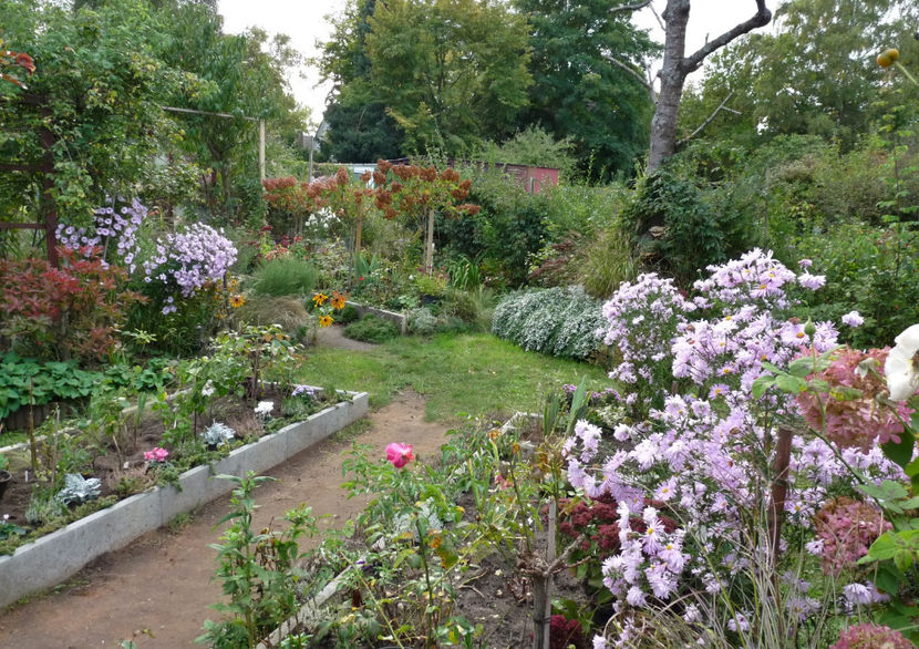  - 2021 - 03 - Toamna