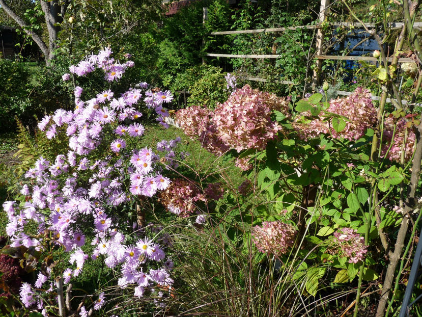  - 2021 - 03 - Toamna