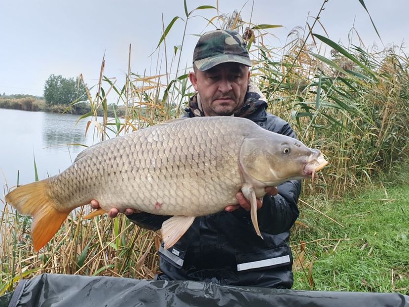 Oroshaza octombrie 2021 - Capturi-pesti