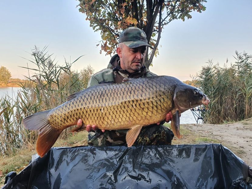 Oroshaza octombrie 2021 - Capturi-pesti