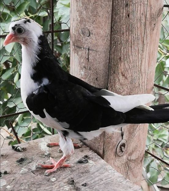 Screenshot_20211013_103150 - Pui 2019 2020 2021