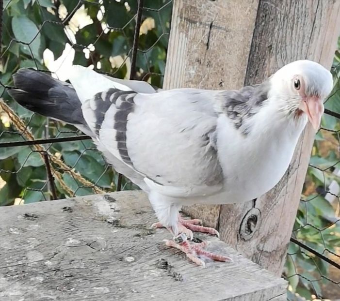 Screenshot_20211013_103535 - Pui 2019 2020 2021