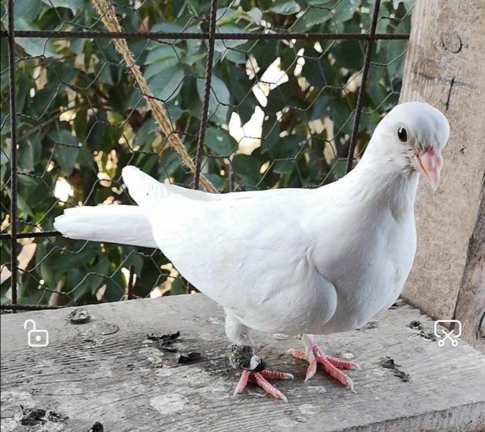 Screenshot_20211013_103522 - Pui 2019 2020 2021