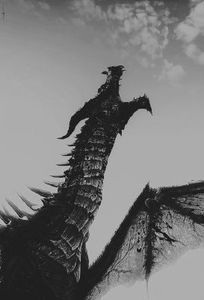  - Dreams N Arrows - Blog