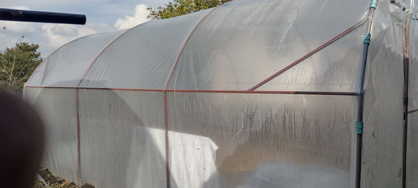 SOLARUL NR.2 RASADNITA - 2021